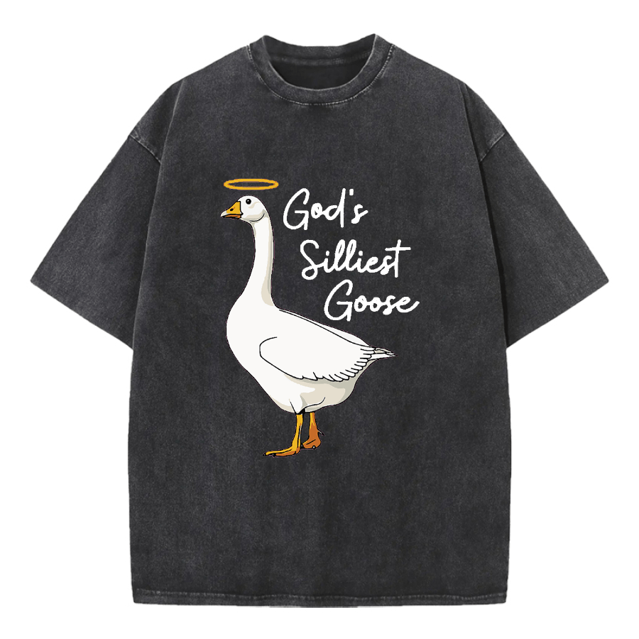 Christianartworkshop Maglietta lavata con motivo "Goose" più sciocco di Dio - Nero - 5XL - image 0