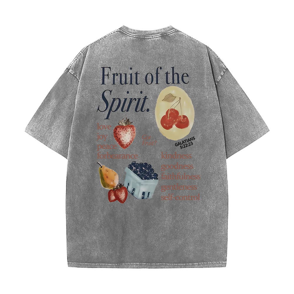Christianartworkshop Maglietta unisex lavata double face Fruit Of The Spirit - Grigio - 5XL - image 6